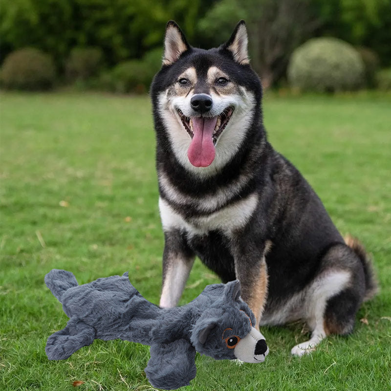 Petlori TrustyChew™