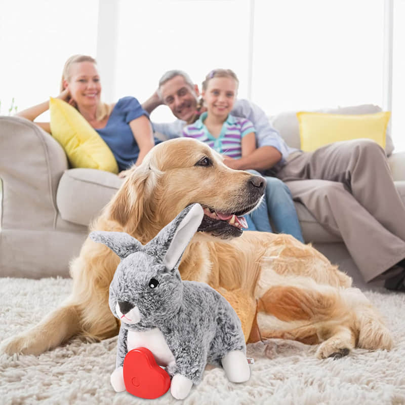 Petsume™ SoothBeat Soft Rabbit