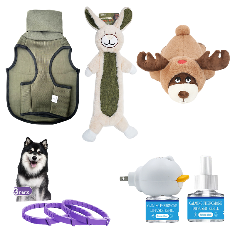 Petlori TrustyChew™ (Small)