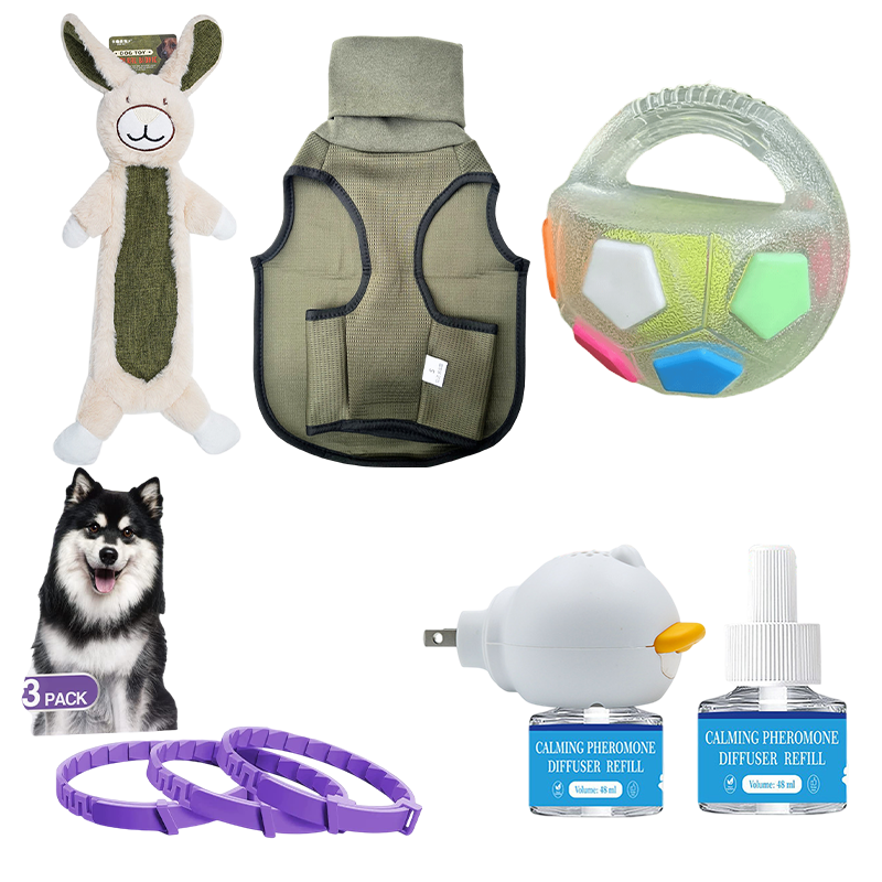 Petlori TrustyChew™ (Medium)