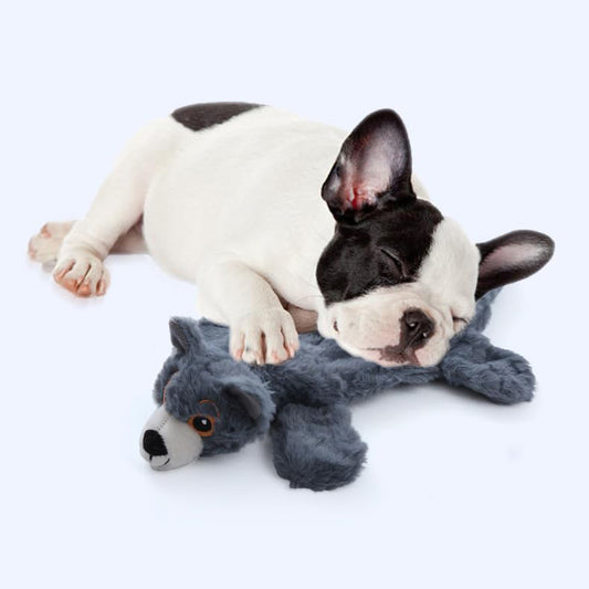 Petlori™ TrustyChew Puppy series