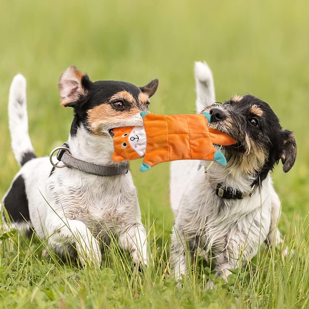 Petlori TrustyChew™