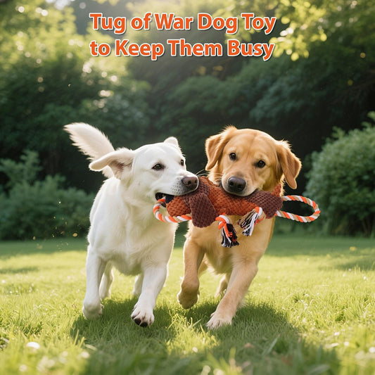 Petlori™ ChewLine Cinnamoroll