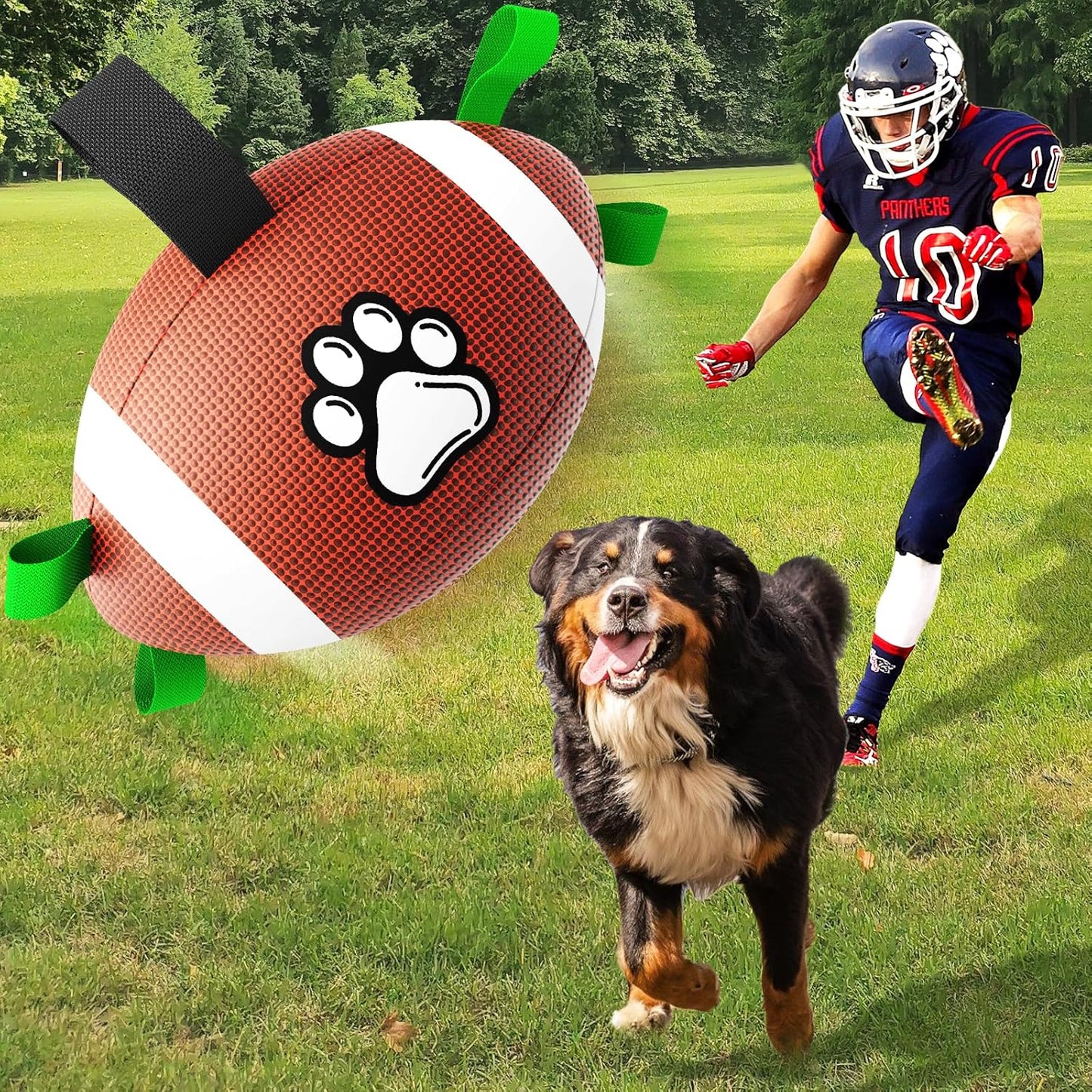 Petsume™ Zoomigo Superbowl Football