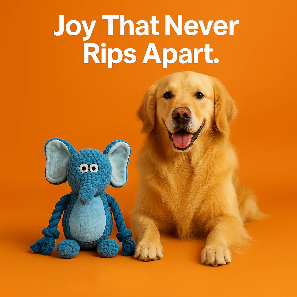 Petsume Tug & Squeak Toys