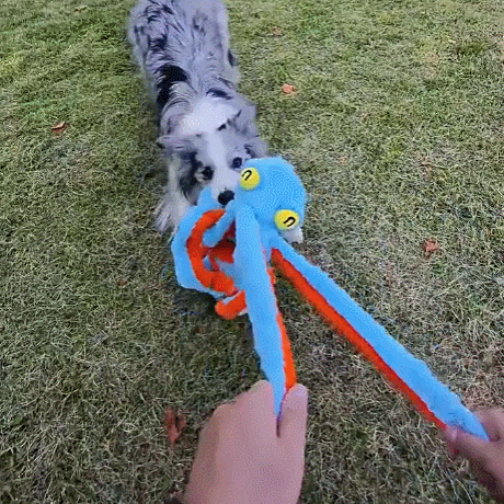 Petootsy™ ChewLine Super Octopus 20''