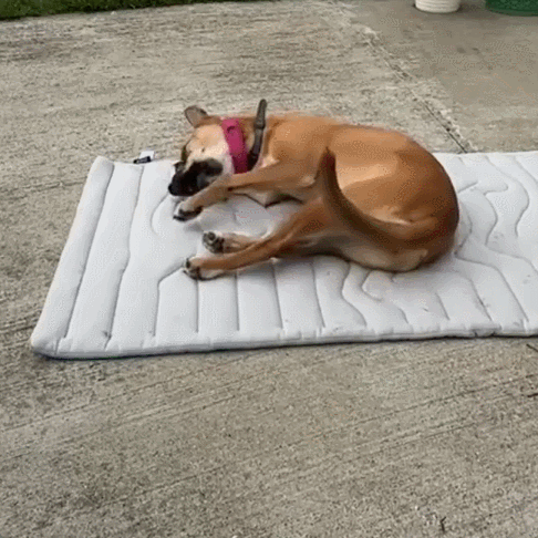Petsume™ DreamPaws Cooling Mat