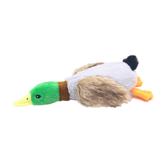 Petlori DuckyPal