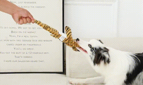 Petlori TrustyChew™