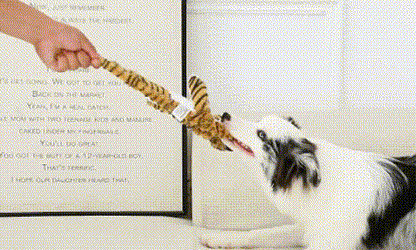 Petlori TrustyChew™