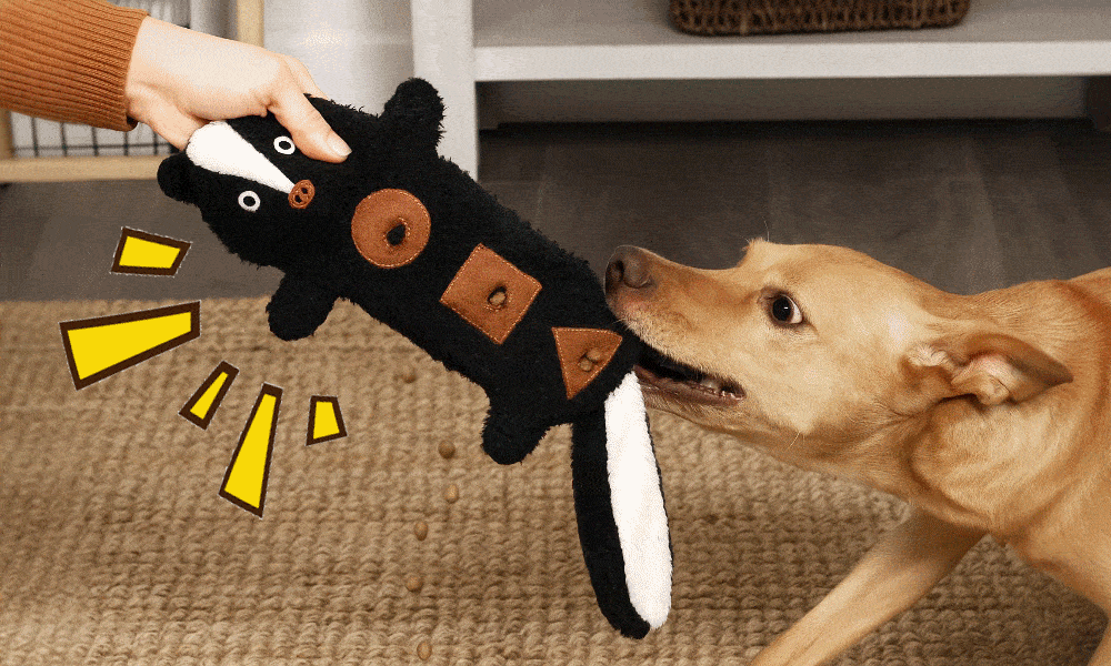 Petlori Tug-a-Treats™