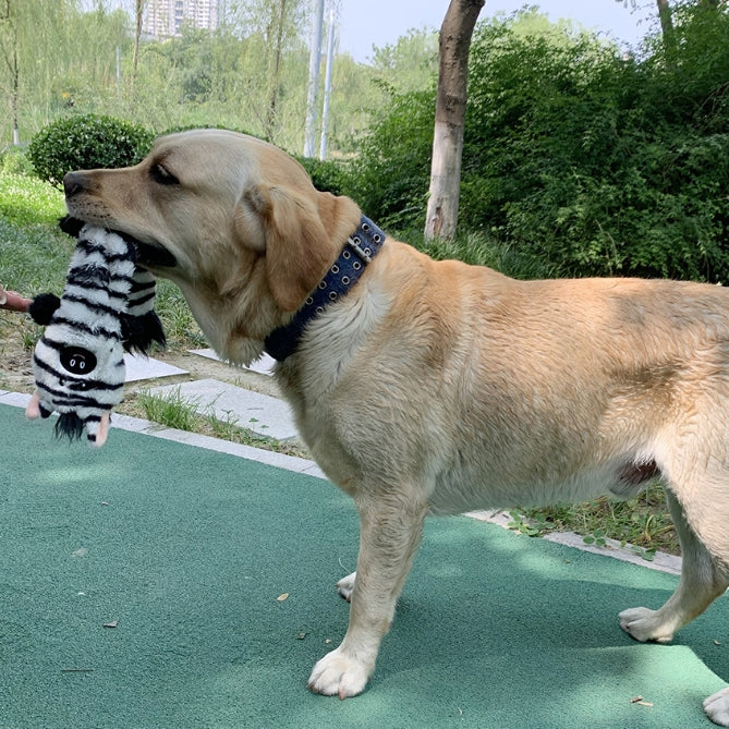 Petlori TrustyChew™