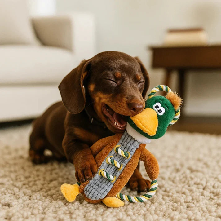 Petlori™ TrustyChew Knotted Duck