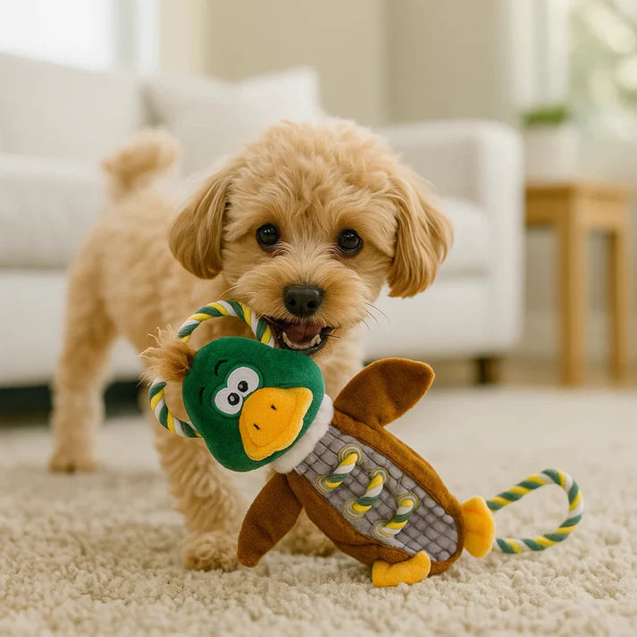 Petlori™ TrustyChew Knotted Duck