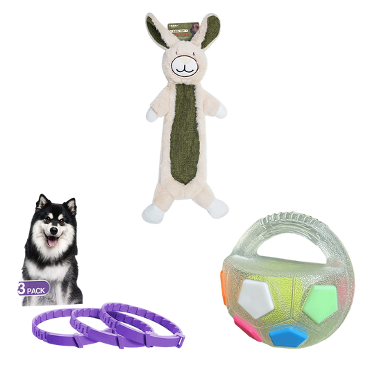 Petlori TrustyChew™ (Medium)