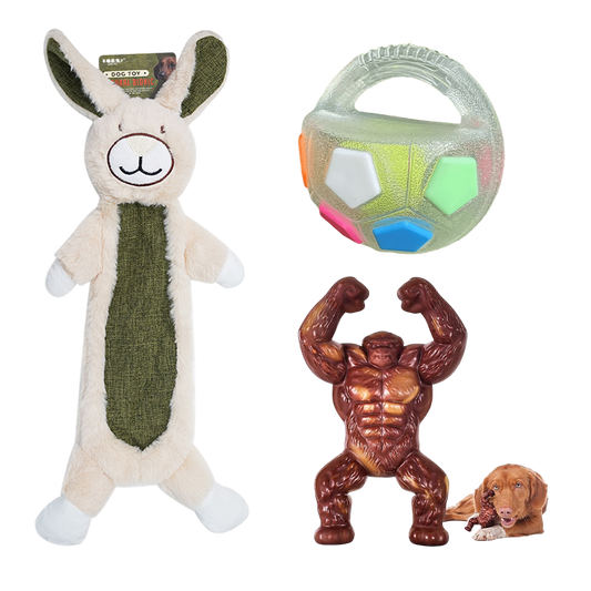 Petlori TrustyChew™ (Large)