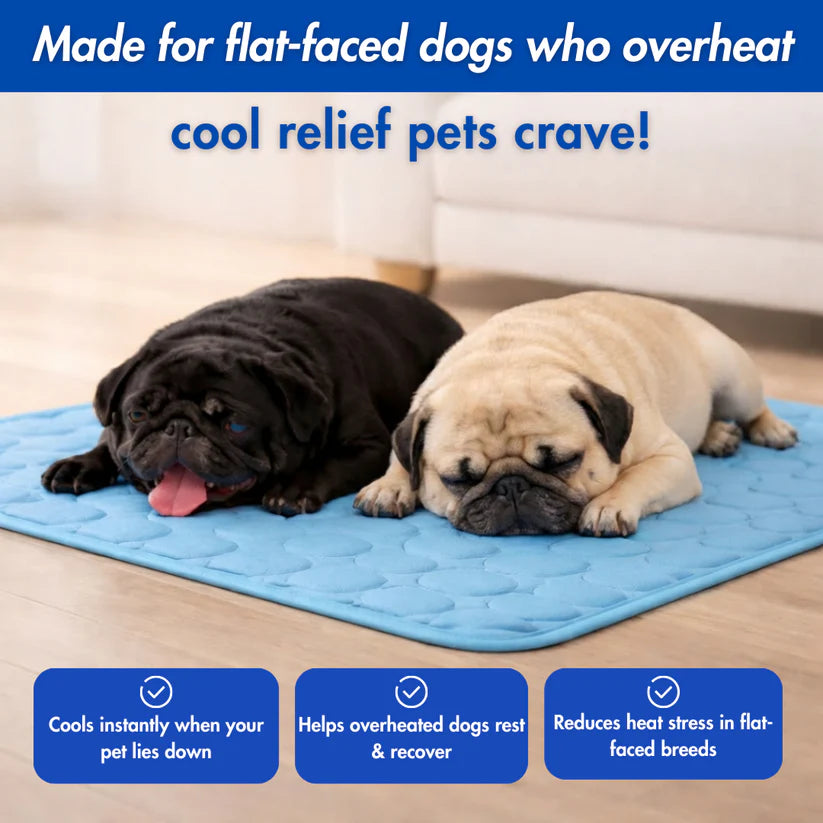 Petsume™ DreamPaws CoolBreath Mat