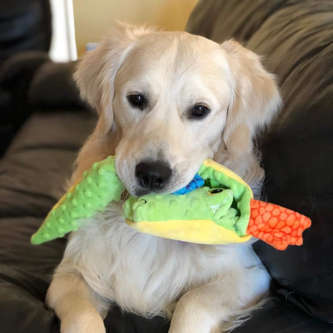 Petlori TrustyChew™