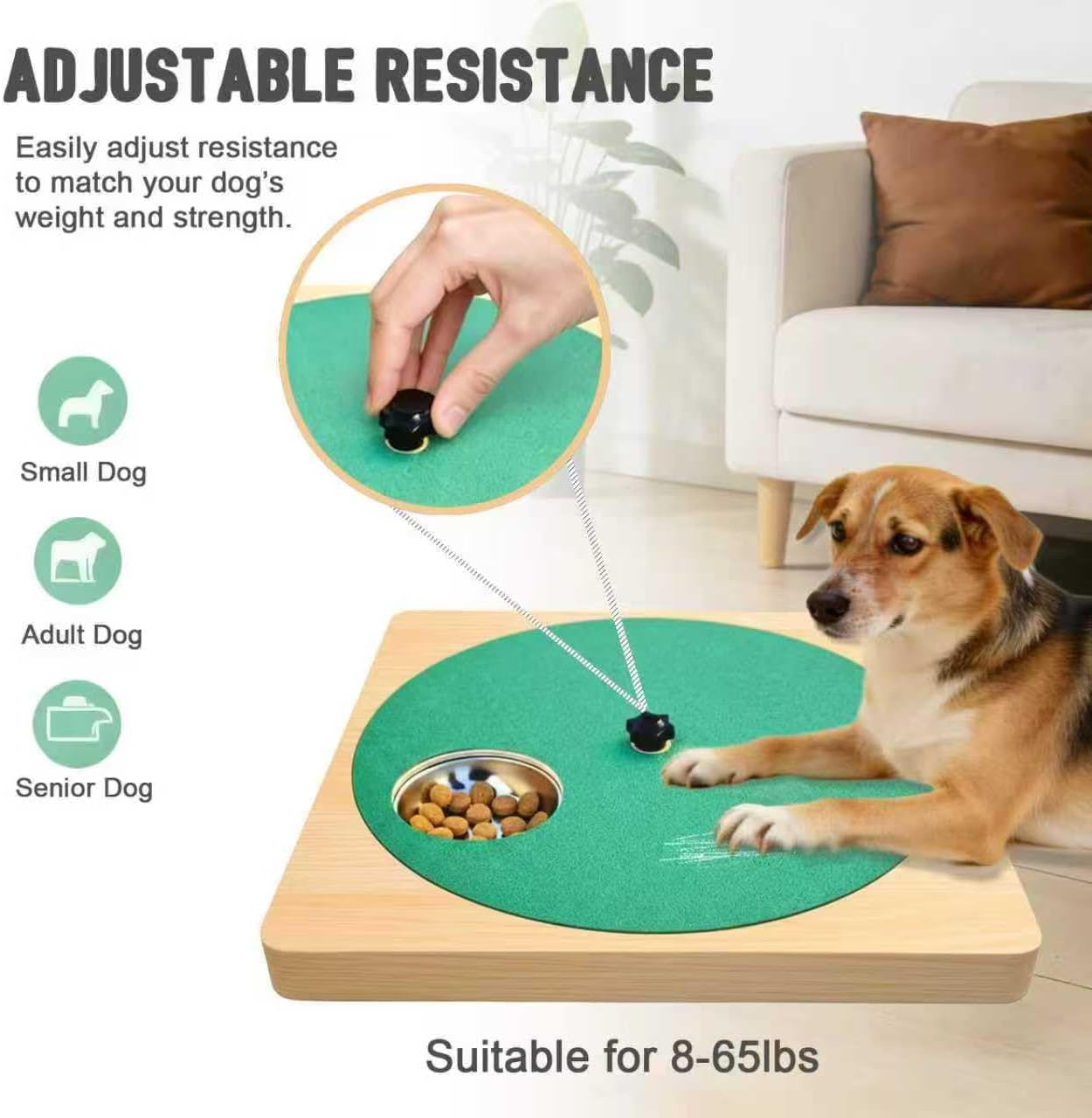 Petlori™ 6-Bowl Gourmet Scratch Board