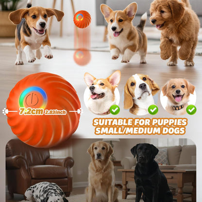 Petsume™ Zoomigo Motion Activated Automatic Balls