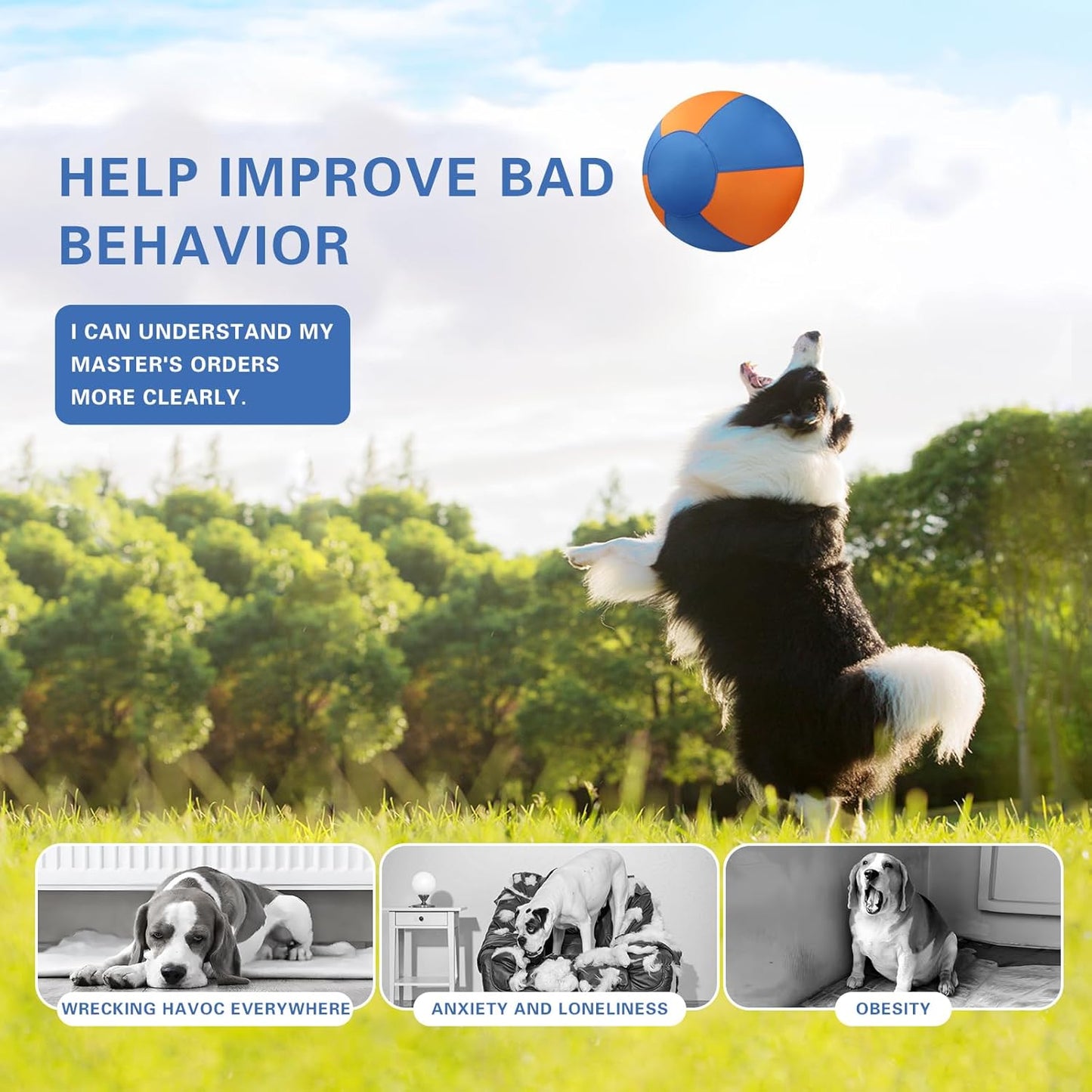 Petsume™ Zoomigo Herding Ball