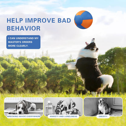 Petsume™ Zoomigo Herding Ball