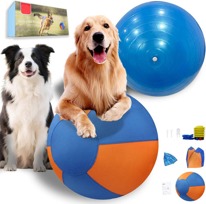 Petsume™ Zoomigo Herding Ball