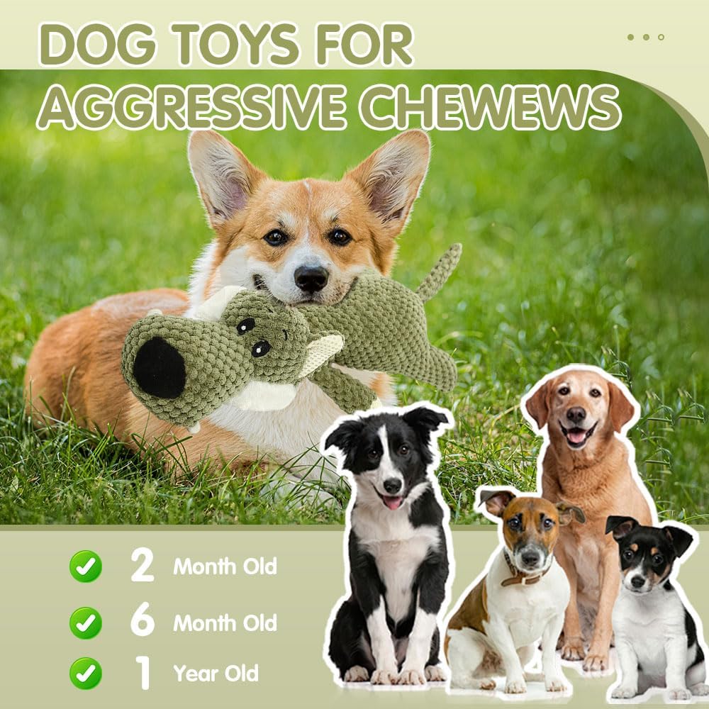 Petootsy™ ChewLine Aggressive Chewers