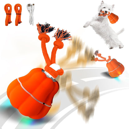 Petsume™ Zoomigo Pumpkin