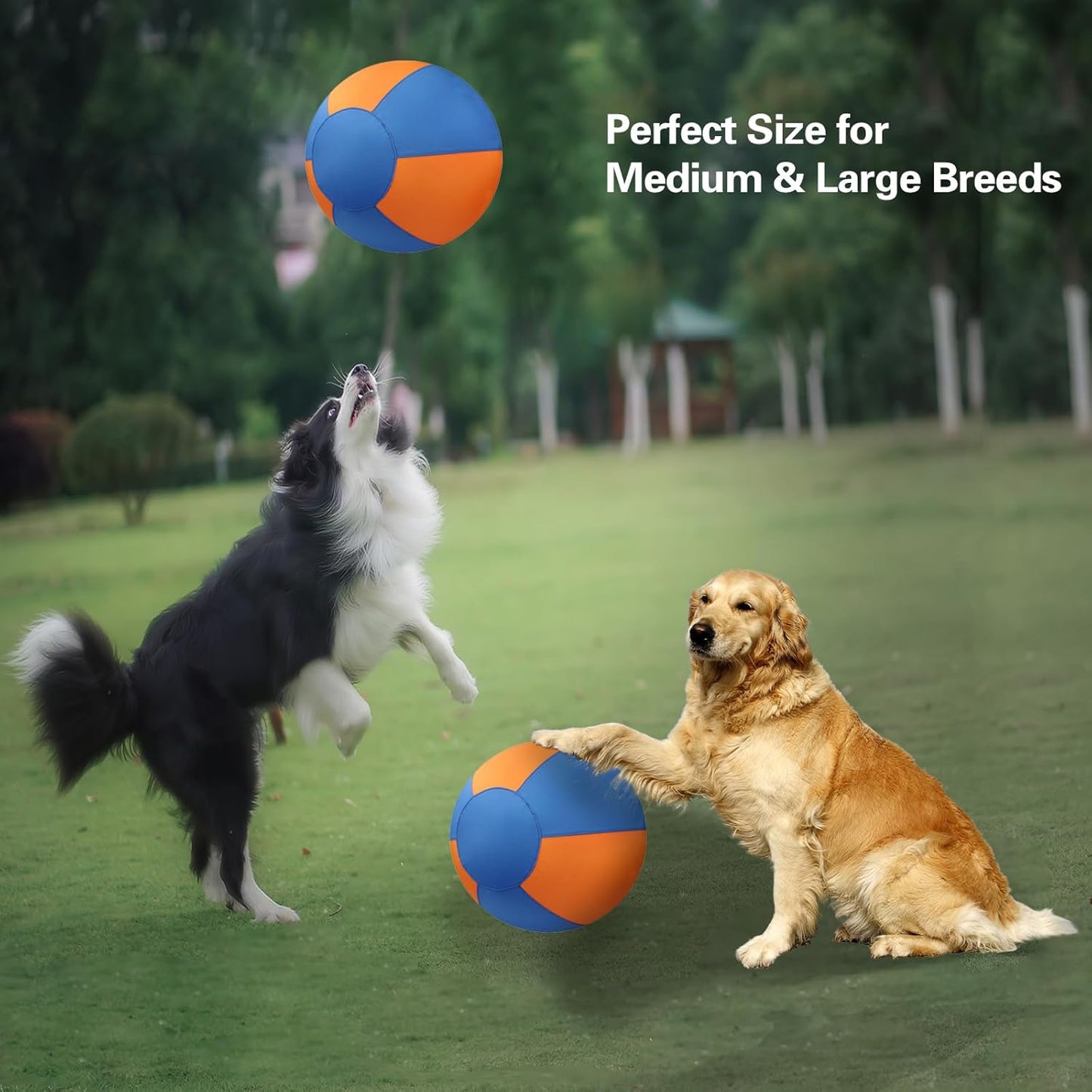 Petsume™ Zoomigo Herding Ball