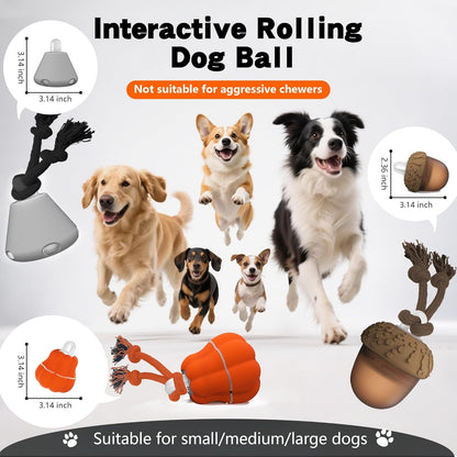 Petsume™ Zoomigo Pumpkin