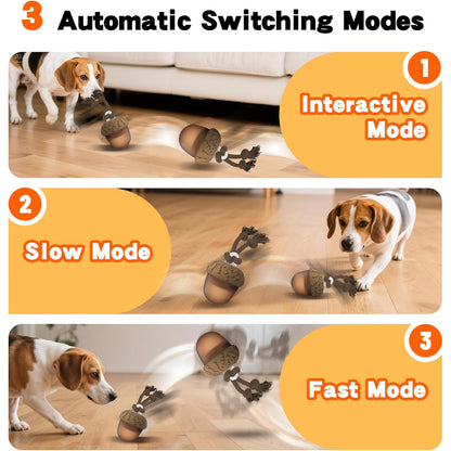 Petsume™ Zoomigo Acron