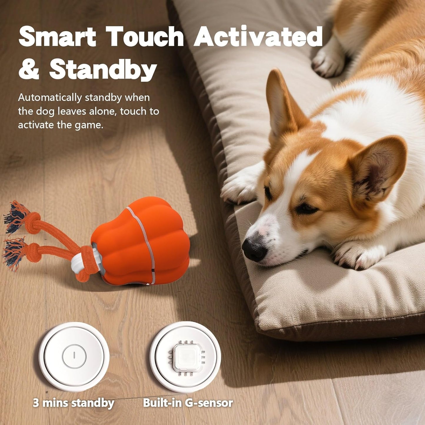 Petsume™ Zoomigo Pumpkin