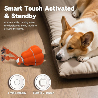 Petsume™ Zoomigo Pumpkin