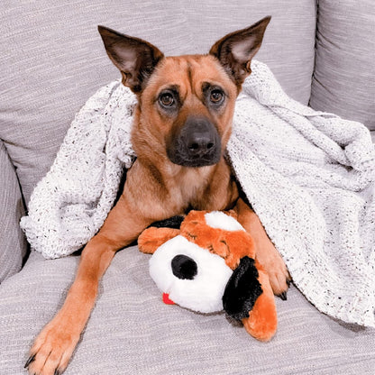 Petlori CalmiPup