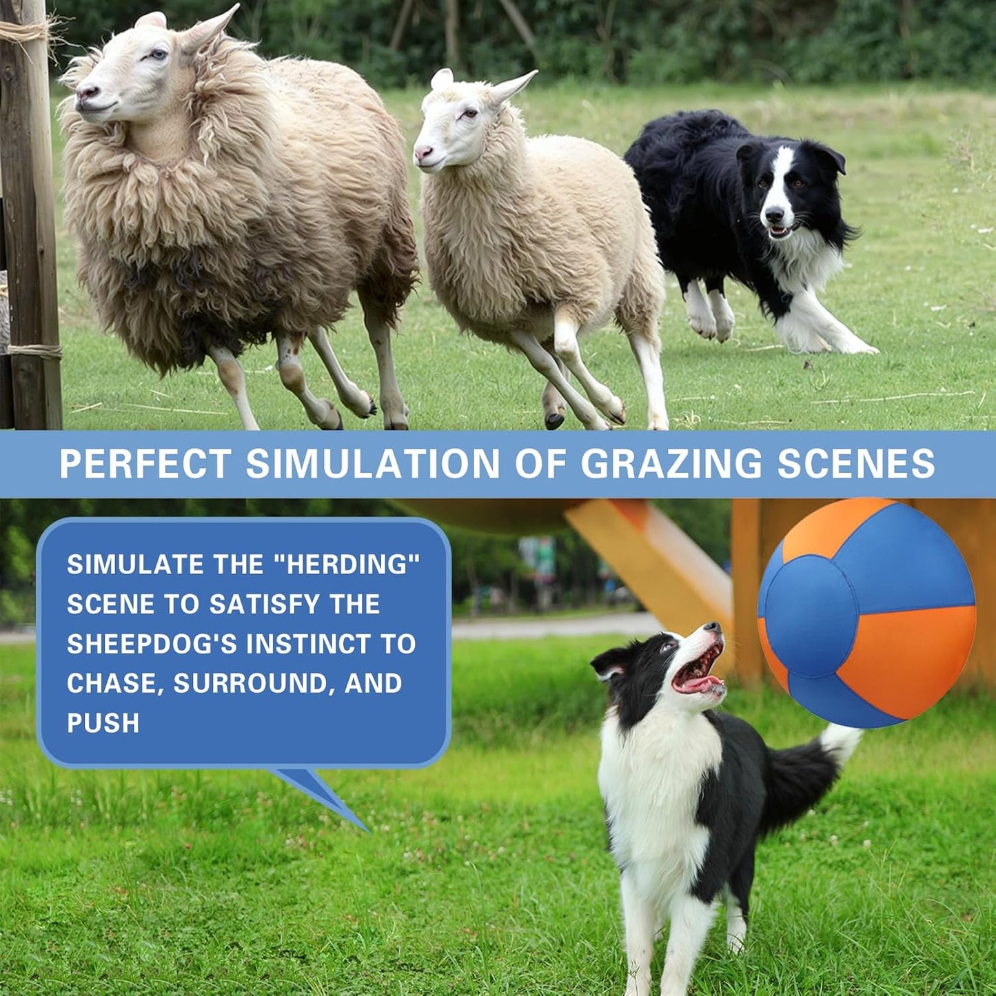 Petsume™ Zoomigo Herding Ball