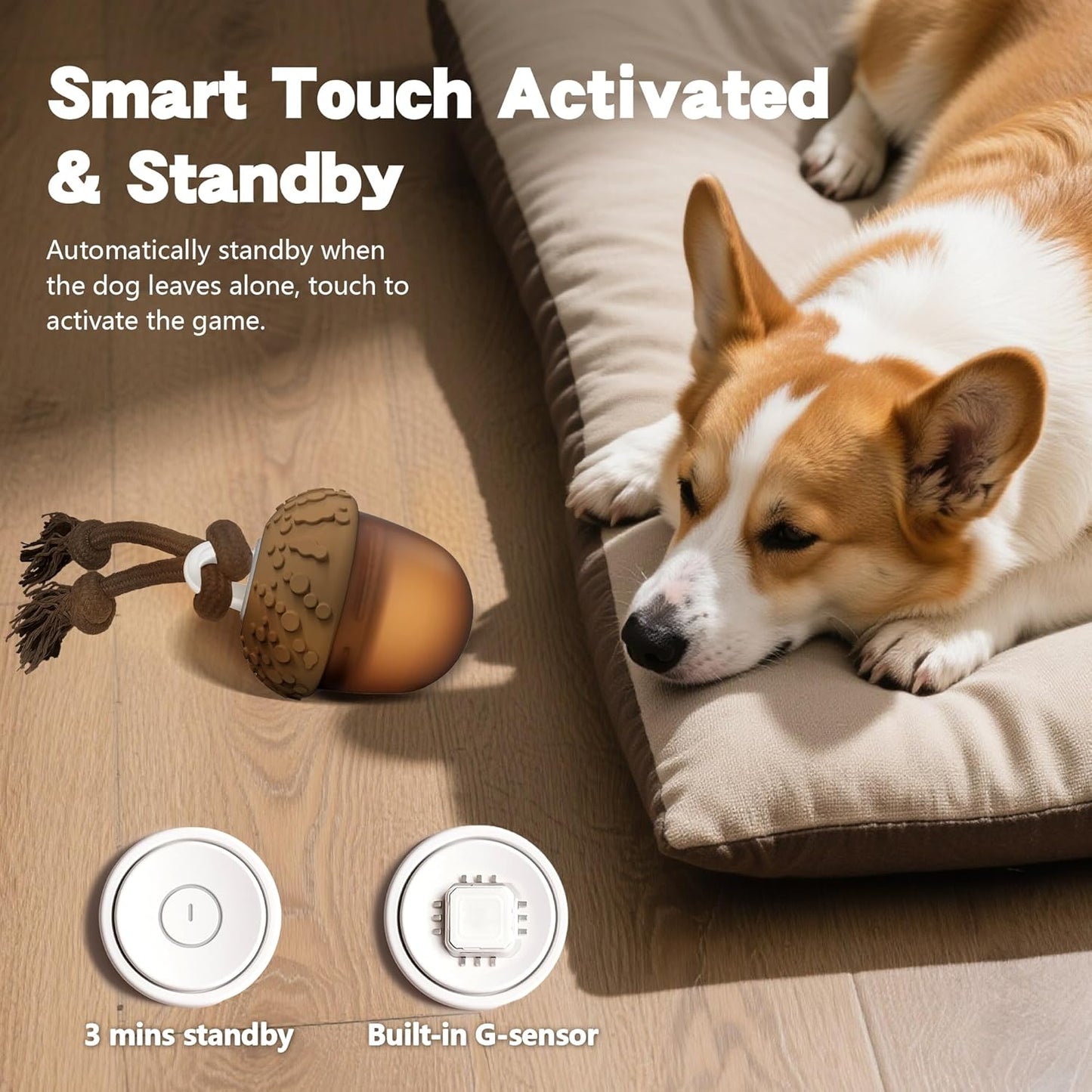 Petsume™ Zoomigo Acron