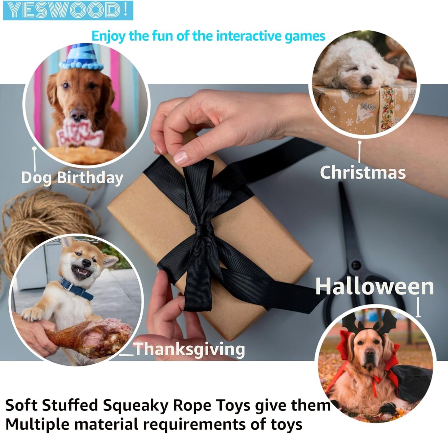 Petlori TrustyChew™