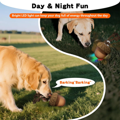 Petsume™ Zoomigo Acron