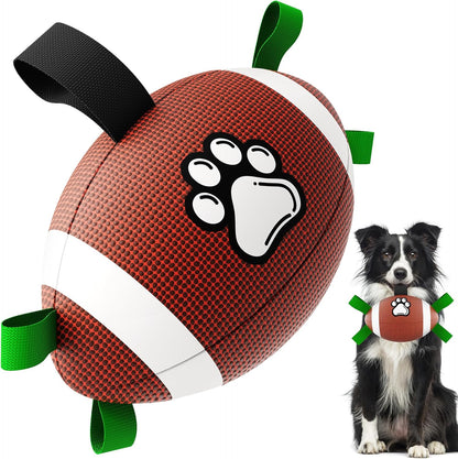 Petsume™ Zoomigo Superbowl Football