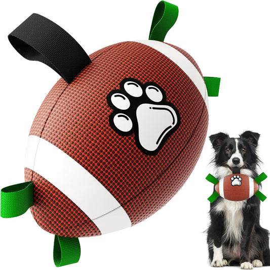 Petsume™ Zoomigo Superbowl Football
