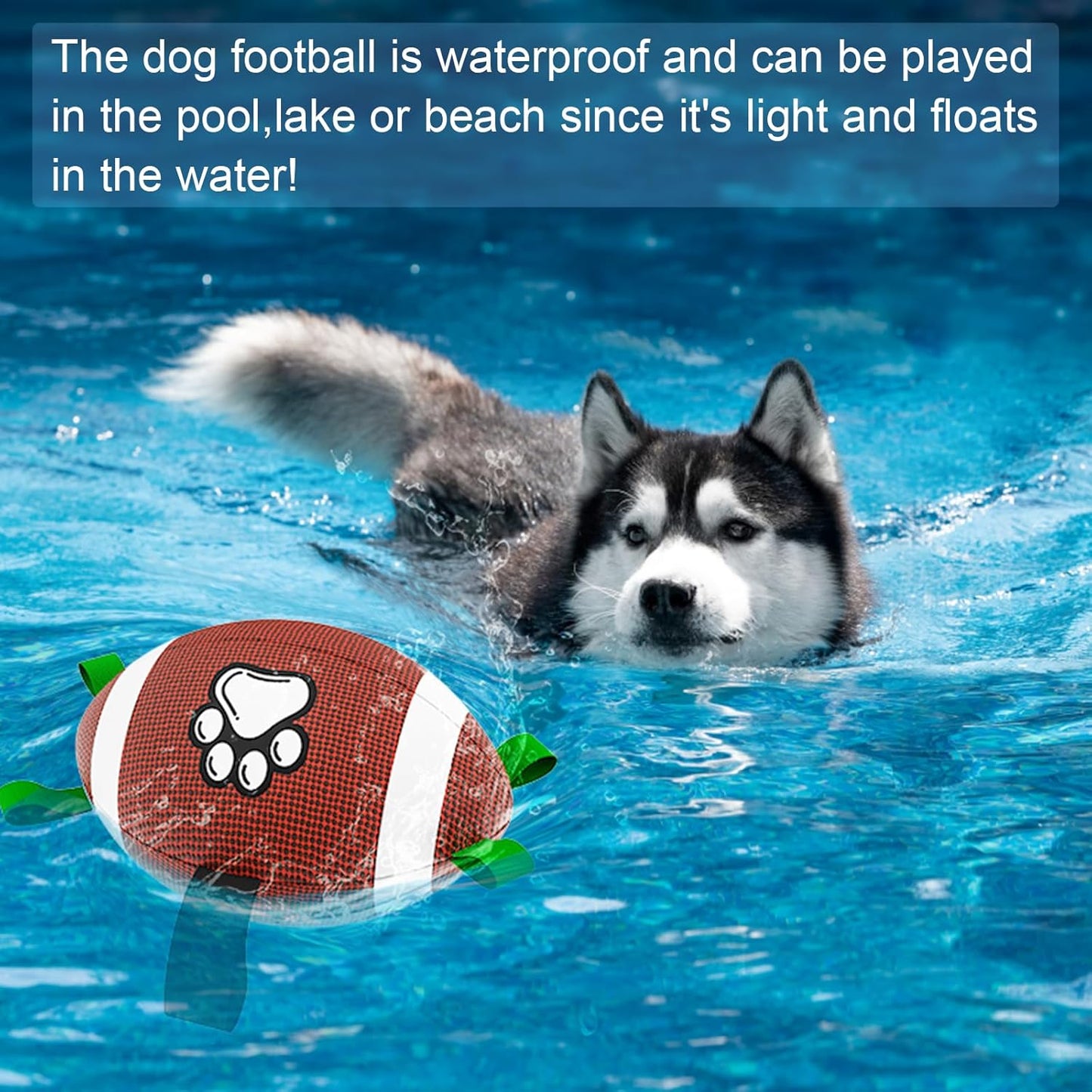 Petsume™ Zoomigo Superbowl Football