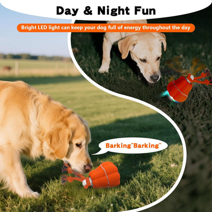 Petsume™ Zoomigo Pumpkin