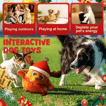 Petsume™ Interactive Squeaky Dog Ball Toy