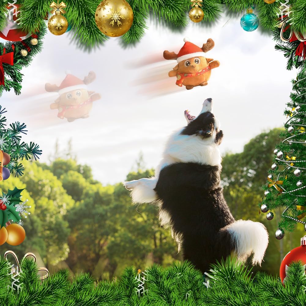 Petsume™ Interactive Squeaky Dog Ball Toy