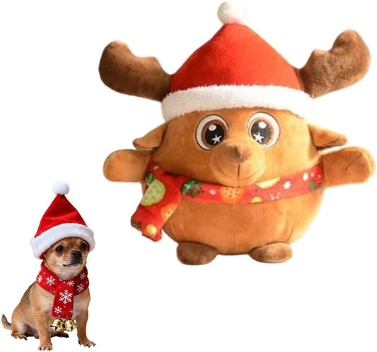 Petsume™ Interactive Squeaky Dog Ball Toy