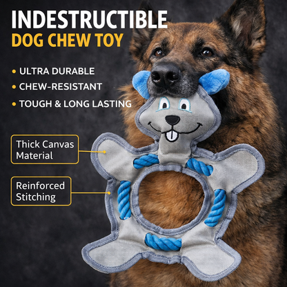 Petootsy™ TitanChew Frisbee Series
