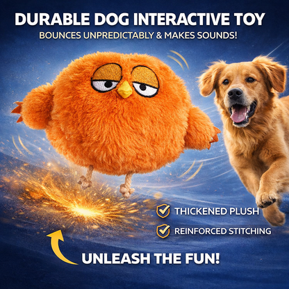 Petlori™ BounceBuddy