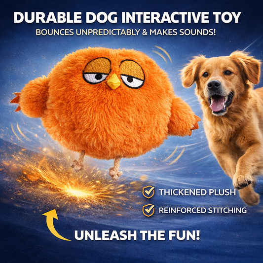 Petlori™ BounceBuddy
