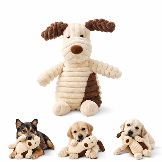 Petlori Textured Chew Companions
